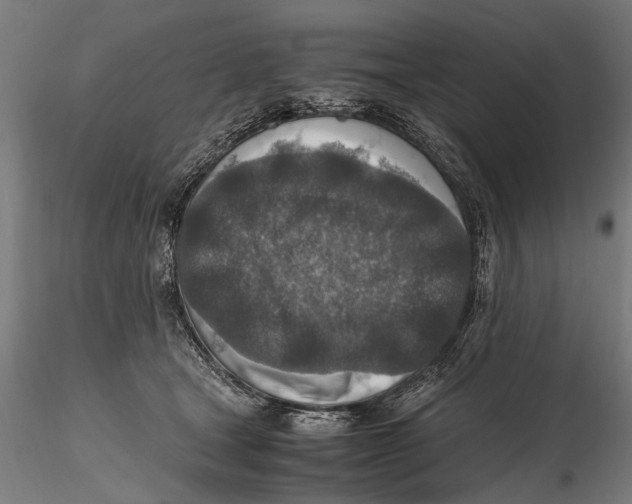 X0000115600465200912081117