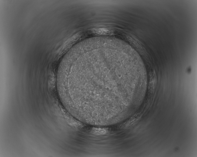 X0000115600469200912081117