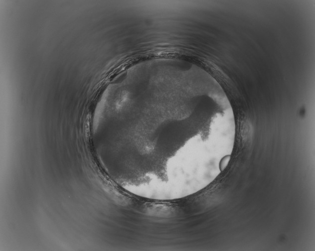 X0000115600475200912081117