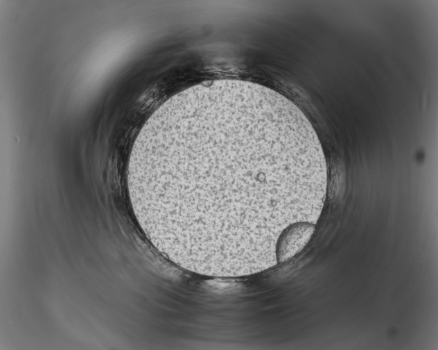 X0000115600477200912081117