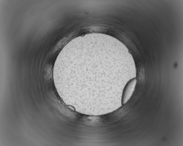 X0000115600478200912081117