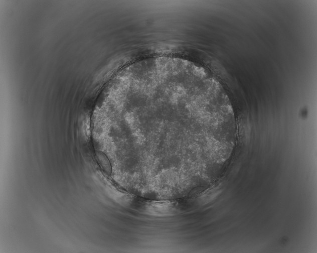 X0000115600479200912081117