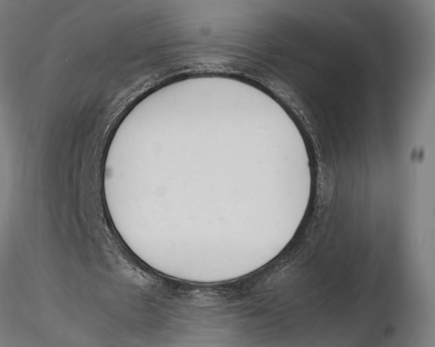 X0000115600481200912081117