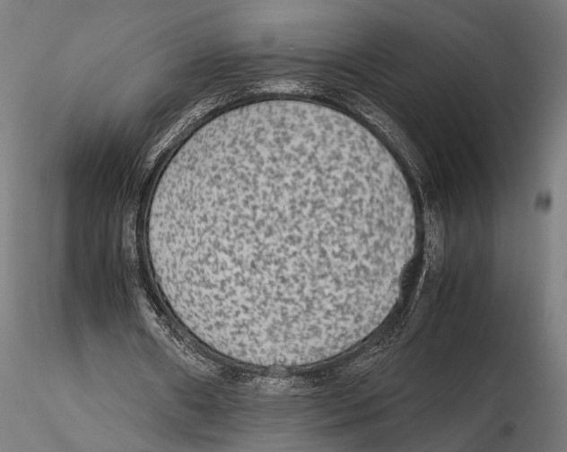 X0000115600482200912081117