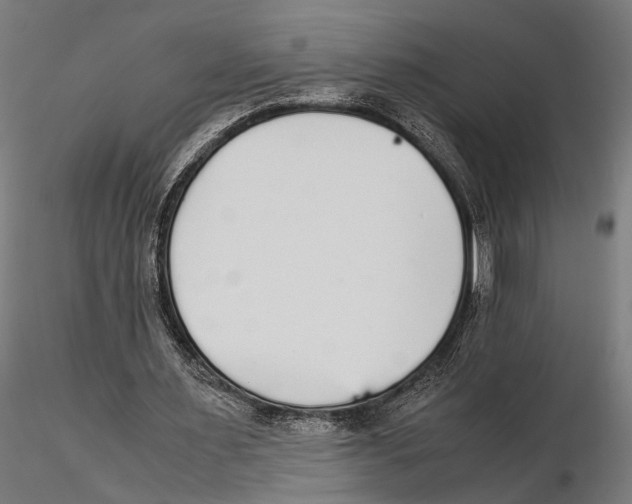 X0000115600483200912081117