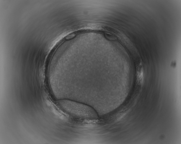 X0000115600484200912081117