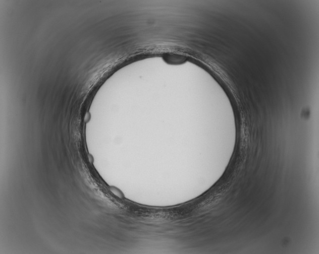 X0000115600485200912081117