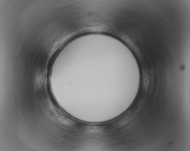 X0000115600486200912081117