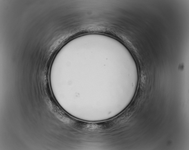 X0000115600487200912081117