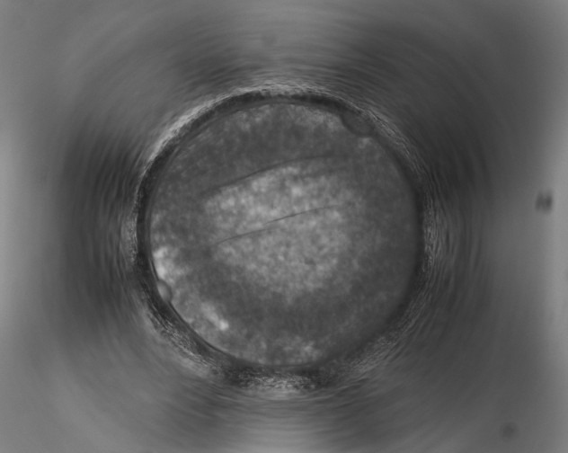 X0000115600488200912081117