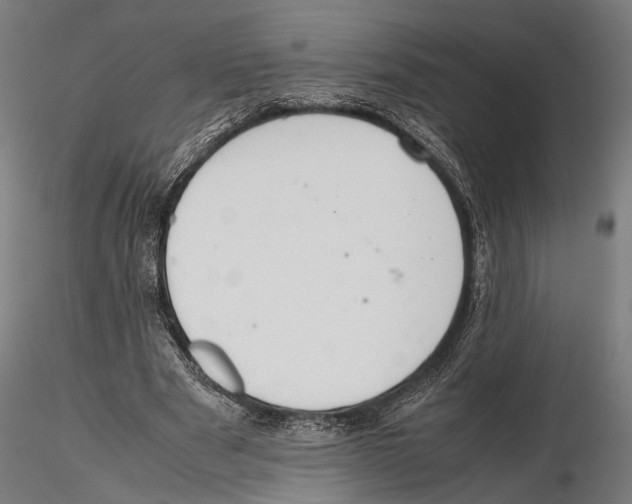 X0000115600489200912081117