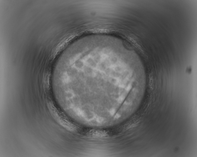 X0000115600491200912081117