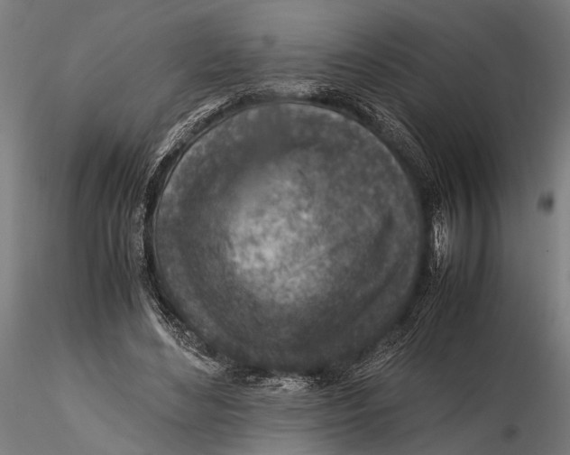 X0000115600492200912081116