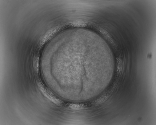 X0000115600494200912081116