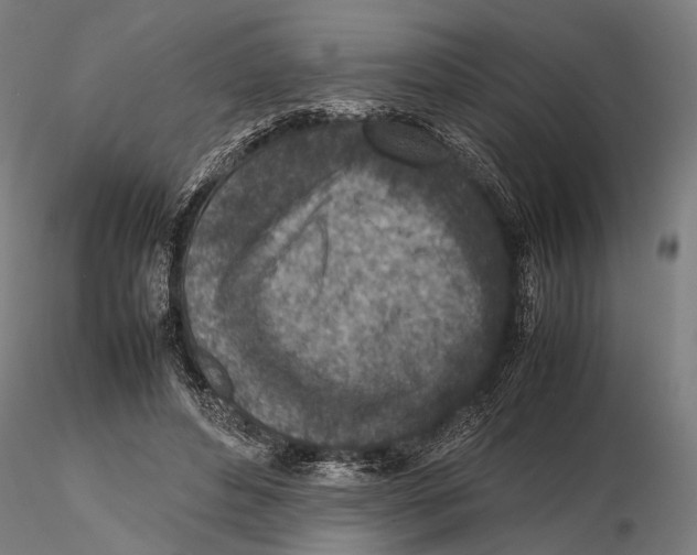 X0000115600496200912081116