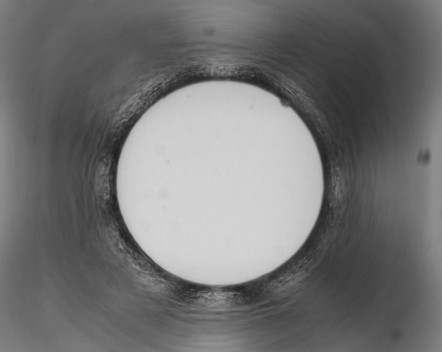 X0000115600497200912081116