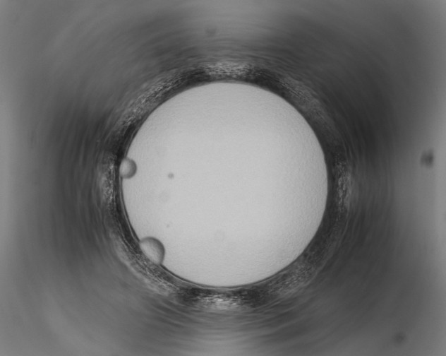 X0000115600498200912081116