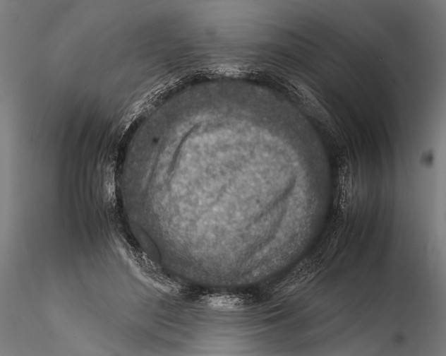 X0000115600500200912081116