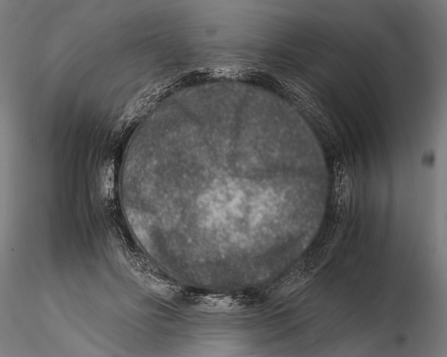 X0000115600502200912081116