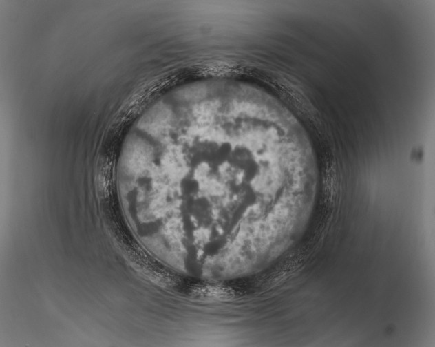 X0000115600503200912081116