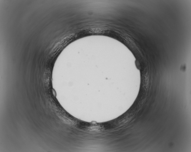 X0000115600505200912081116