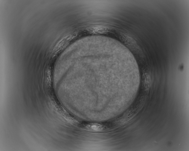 X0000115600506200912081116