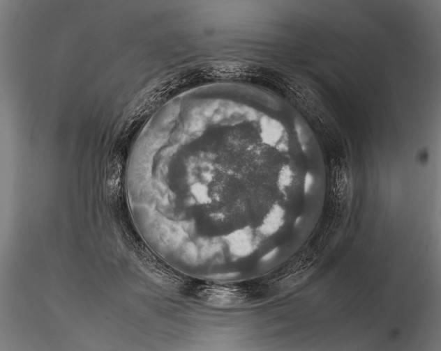 X0000115600507200912081116