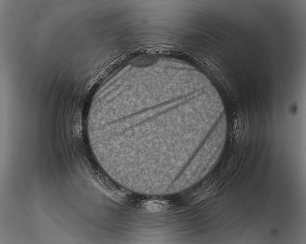 X0000115600508200912081116