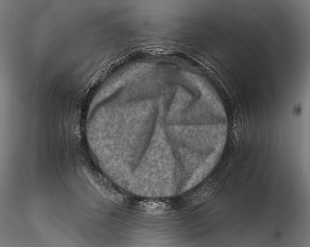 X0000115600512200912081116