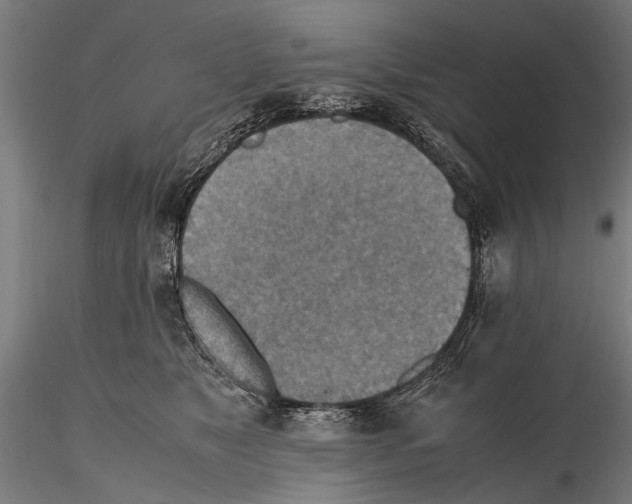 X0000115600517200912081116