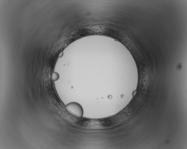 X0000115600518200912081116