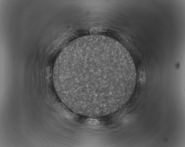 X0000115600519200912081116