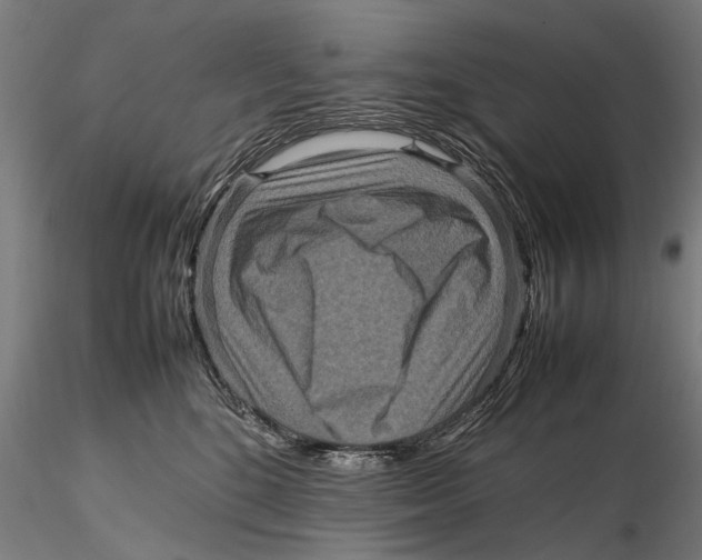 X0000115600520200912081116