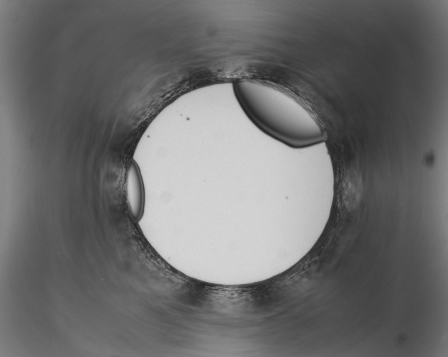 X0000115600521200912081116