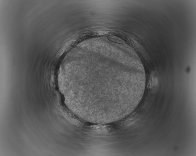 X0000115600524200912081116