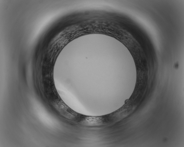 X0000115600526200912081116