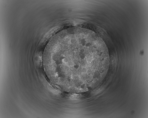 X0000115600527200912081116