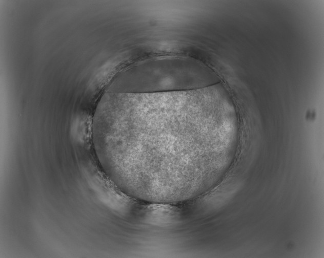 X0000115600528200912081116