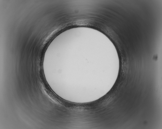 X0000115600530200912081115