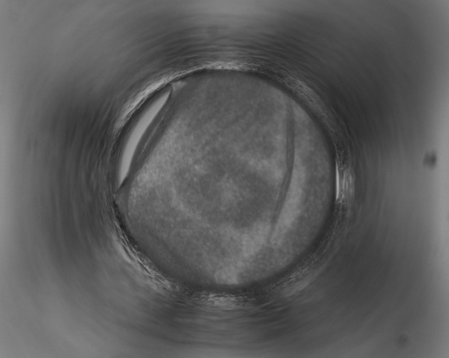 X0000115600531200912081115