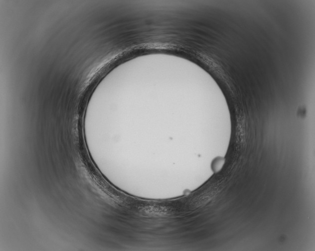 X0000115600535200912081115