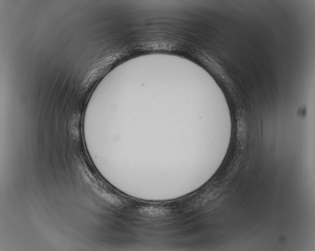 X0000115600537200912081115