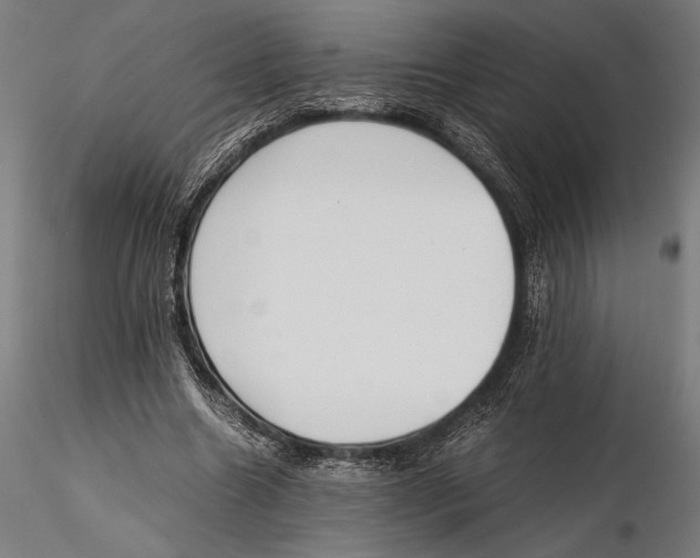 X0000115600538200912081115