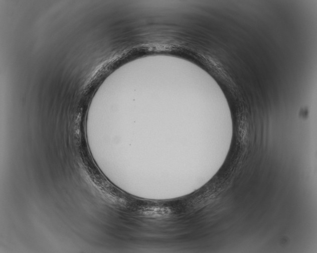 X0000115600543200912081116