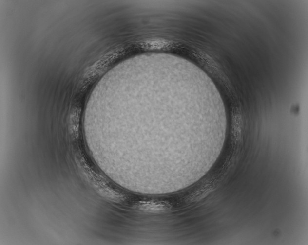 X0000115600545200912081116