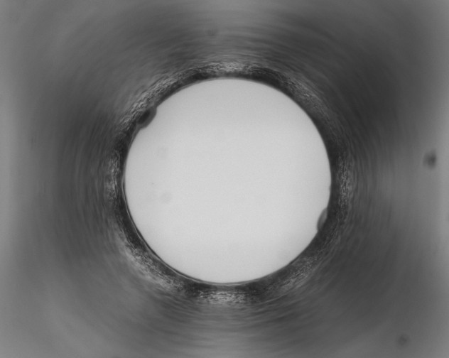 X0000115600546200912081116