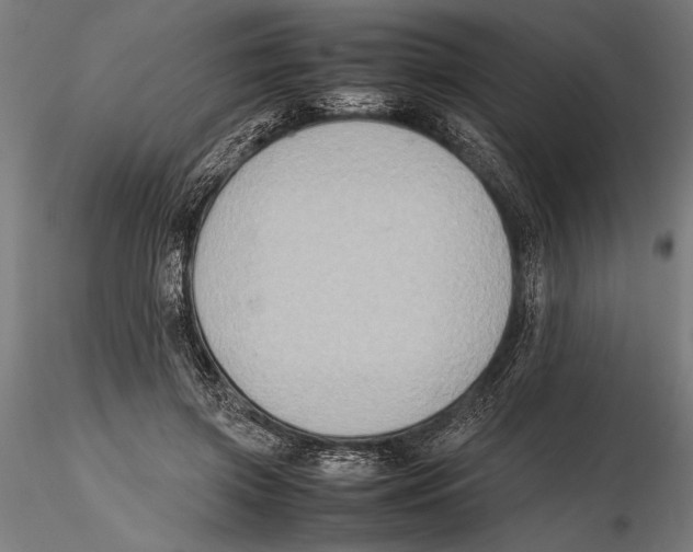 X0000115600549200912081116