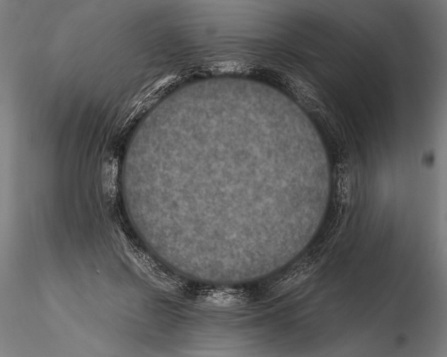 X0000115600550200912081116