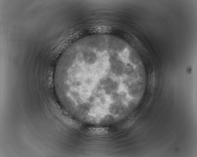 X0000115600553200912081116