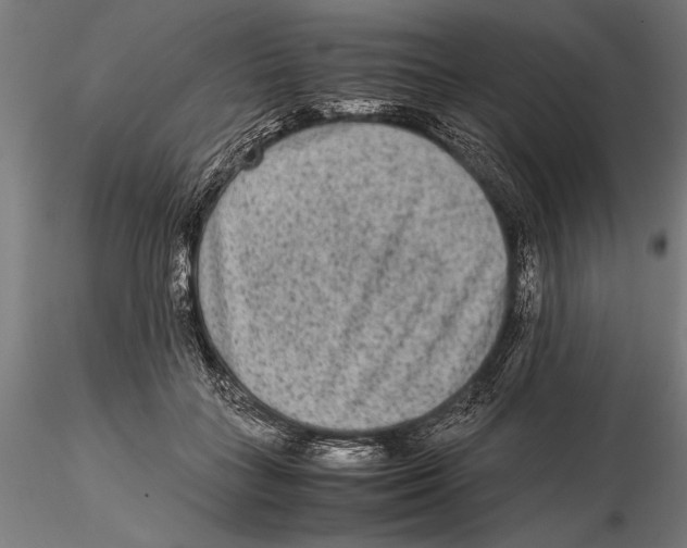 X0000115600555200912081116